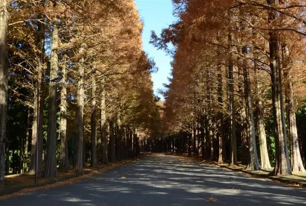 富士教育研修所