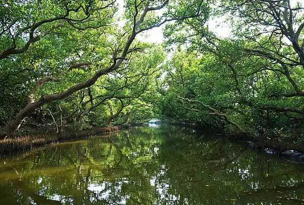 四草生態文化園区