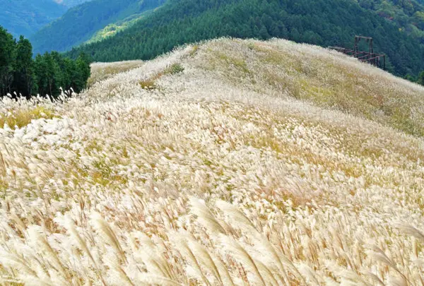 岩湧山