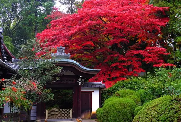 栄摂院