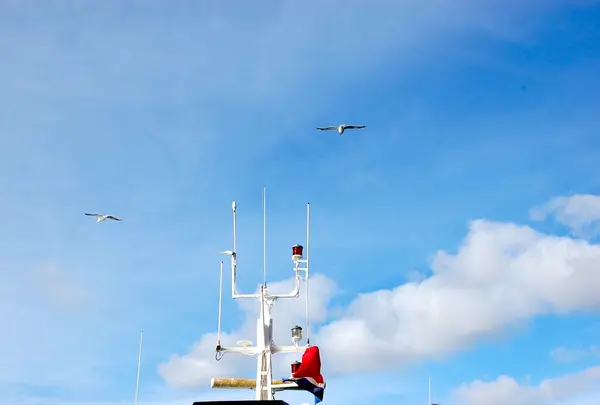 船の上にはカモメ