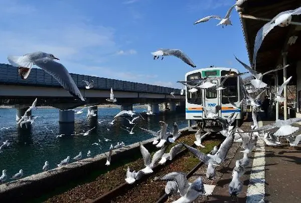 浜名湖佐久米駅