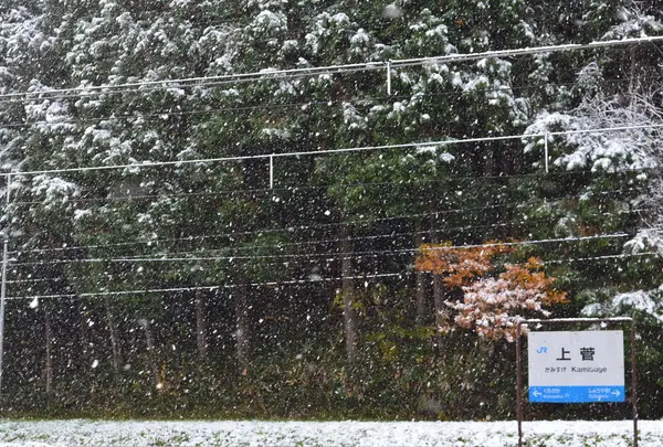 JR伯備線 上菅駅の写真・動画_image_128138