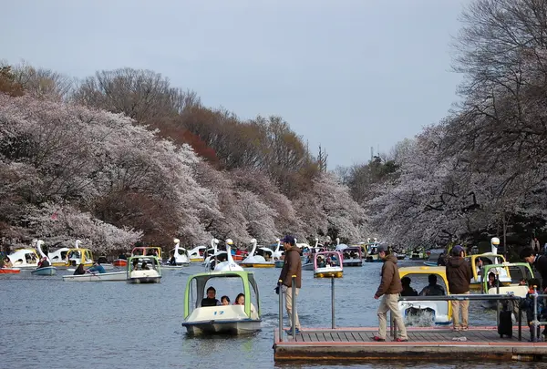井の頭恩賜公園の写真・動画_image_130769
