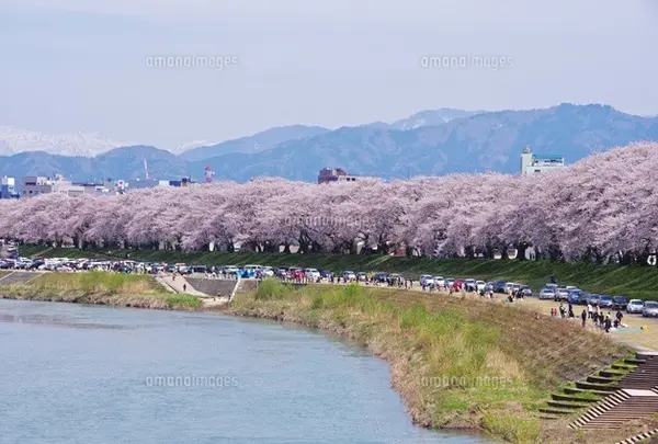 足羽川
