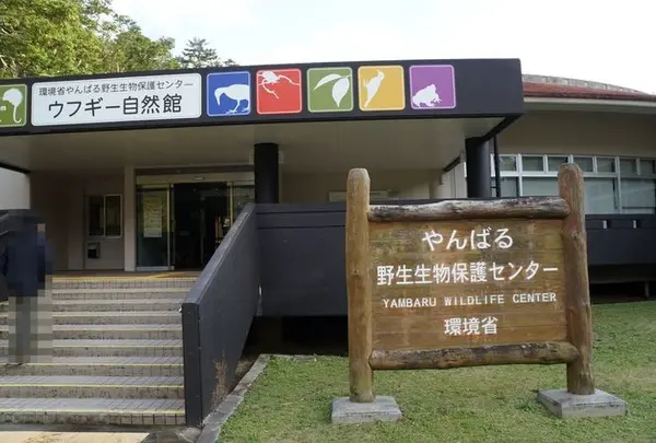 やんばる野生生物保護センター