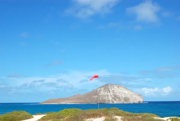 ラビット島