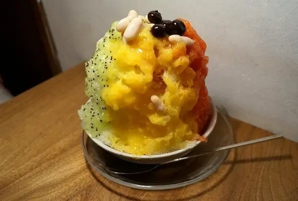 木と根
