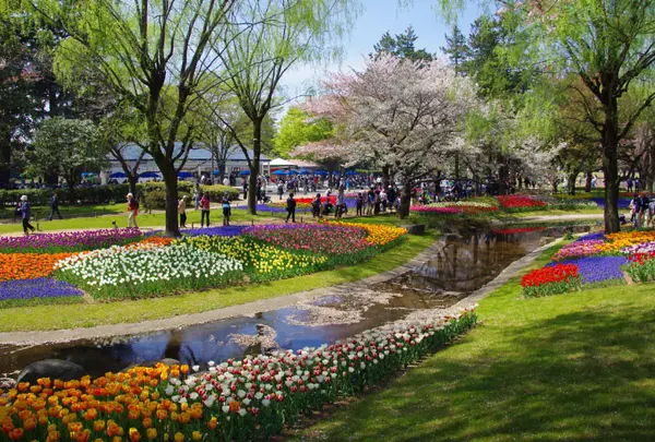 国営昭和記念公園