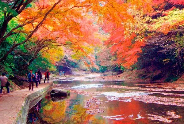 養老渓谷