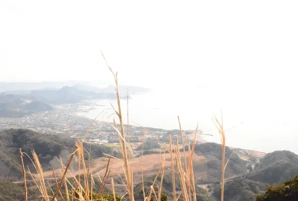 鋸山 日本寺 展望台の写真・動画_image_61937