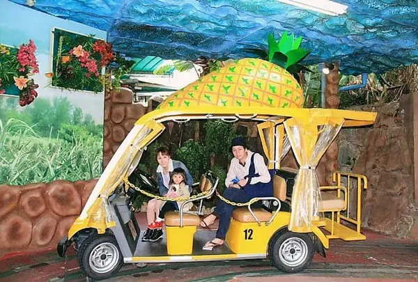 ☆【カップ】ナゴパイナップルパーク