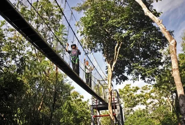Forest Research Institute Malaysia (FRIM)