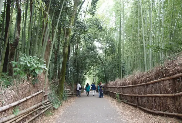 竹林の小径