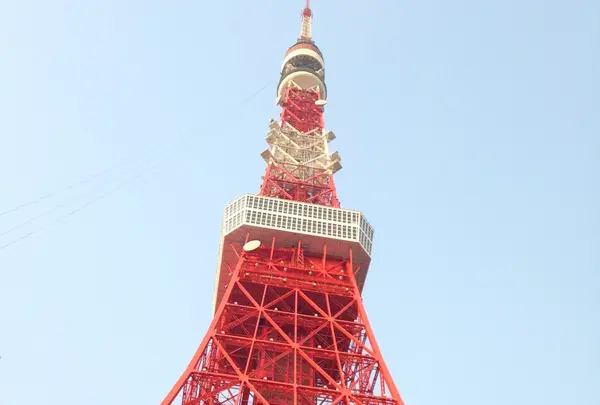 東京タワーの写真・動画_image_131907