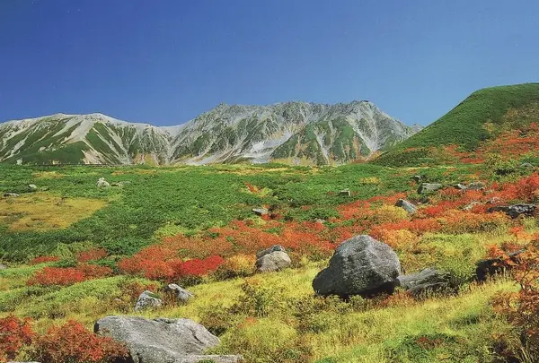 室堂平