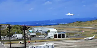 和歌山県を1泊2日で楽しみ尽くす絶景旅