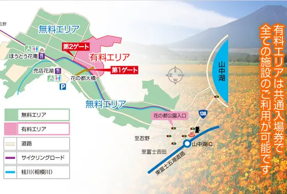 無料と有料エリア