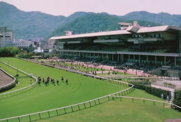 日本中央競馬会札幌競馬場