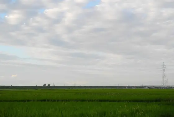 この辺りの基本的な風景