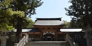 【大三島】日帰りで子どもと島を探検しよう！