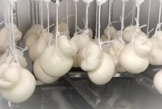 淡路島牛乳のチーズ "カチョカヴァロ" を使ったピザも