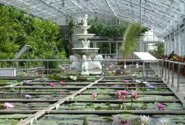 熱川バナナワニ園