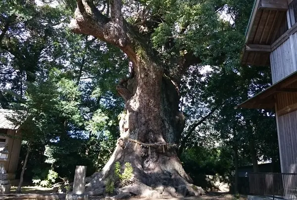 来宮神社