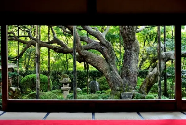 宝泉院