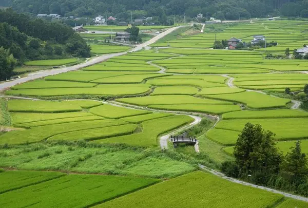 田染荘（たしぶのしょう）