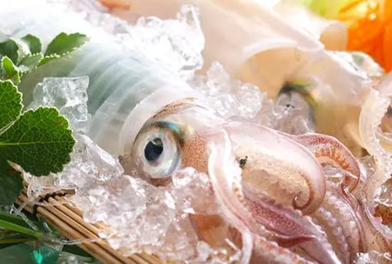 イカの季節に🦑