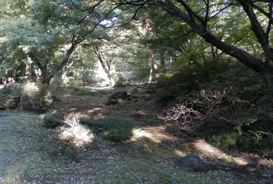 水香江(すいこうのえ)