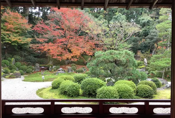 曼殊院門跡