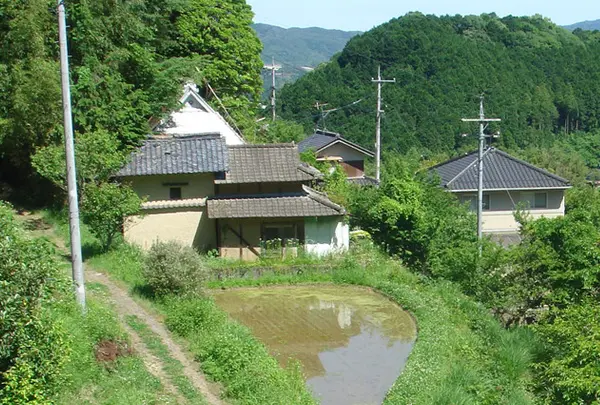 棚田（日本棚田百選）の写真・動画_image_34199
