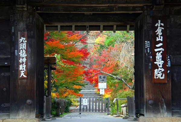 二尊院の写真・動画_image_66551