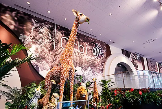 Orbi（オービィ）