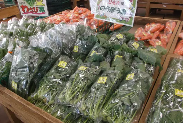 あぐれっしゅ川越店 農産物直売所