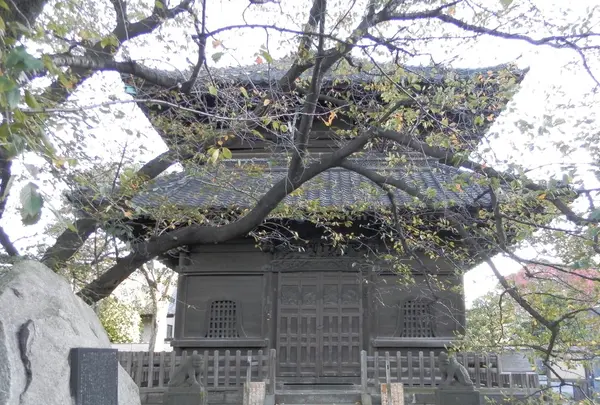 吉祥寺の写真・動画_image_101300
