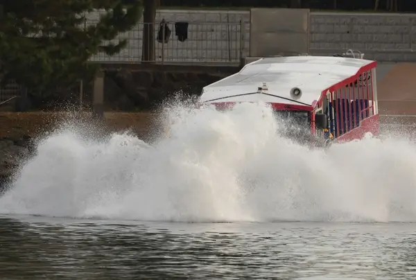 お台場の名スポットをひととおり見れるのが嬉しい