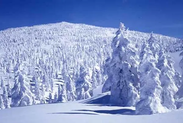 樹氷の森吉山～阿仁ゴンドラに乗って～