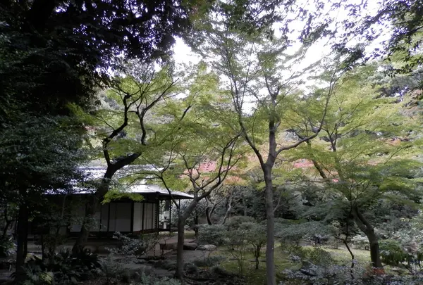 旧古河庭園の写真・動画_image_101370