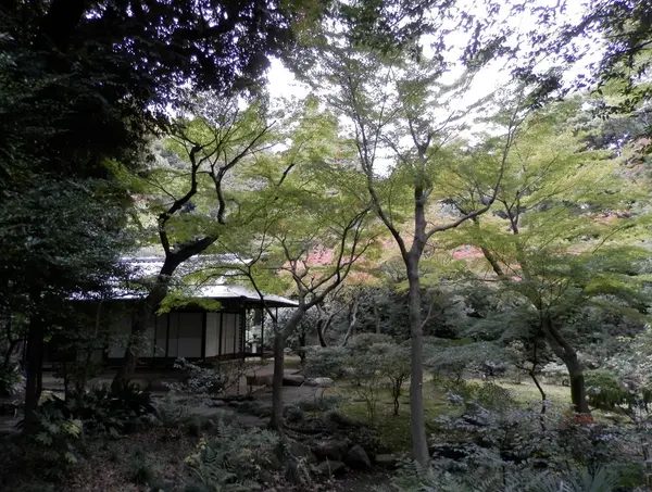 茶庭に囲まれた茶室で味わう抹茶の味わいは？