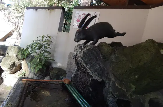 手水舎で会えるうさぎさん