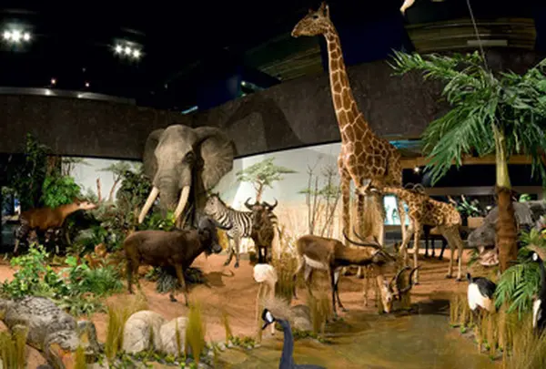 〔未〕Muséum d'Histoire Naturelle