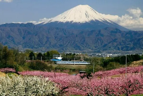 中央本　線新府駅〜穴山駅