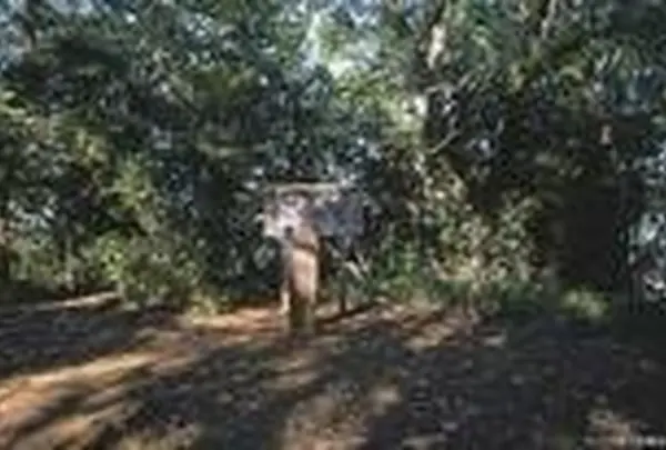 堂洞城址
