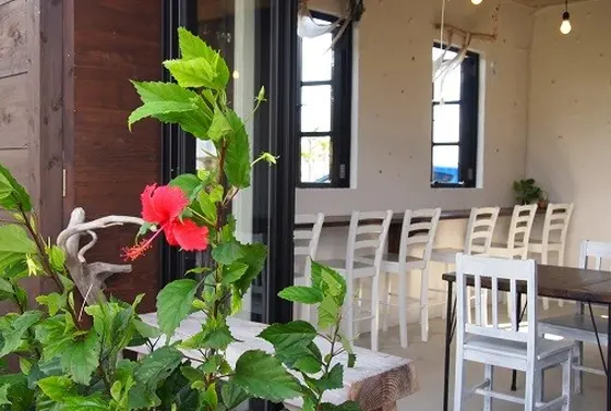 お洒落な店内