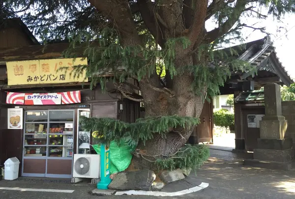 みかどパン店
