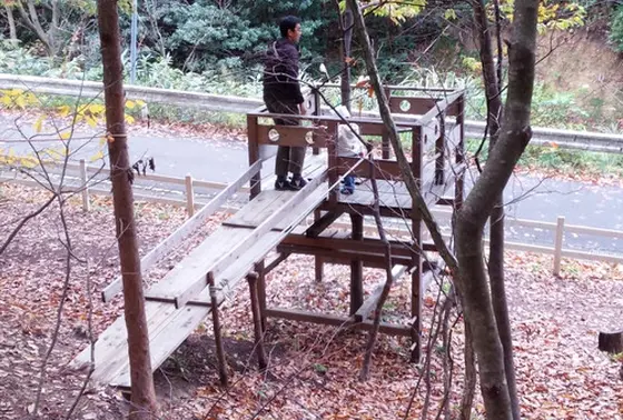 ツリーハウス♪