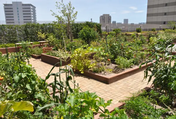 エビスグリーンガー